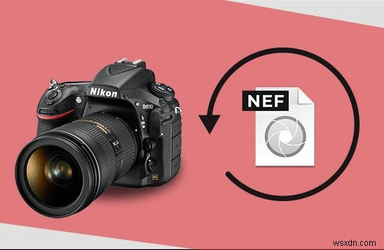 Cách khôi phục ảnh đã xóa khỏi máy ảnh Nikon