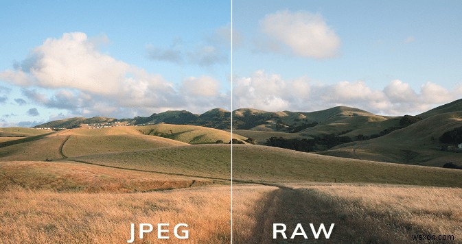 RAW so với JPEG:Cái nào là tốt nhất và tại sao?