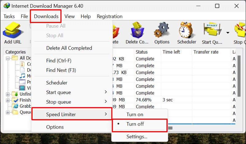 Internet Download Manager có thực sự tăng tốc độ tải xuống không? 