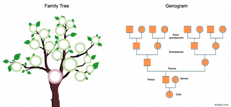 Tạo Genogram trong Microsoft Word:Hướng dẫn từng bước 