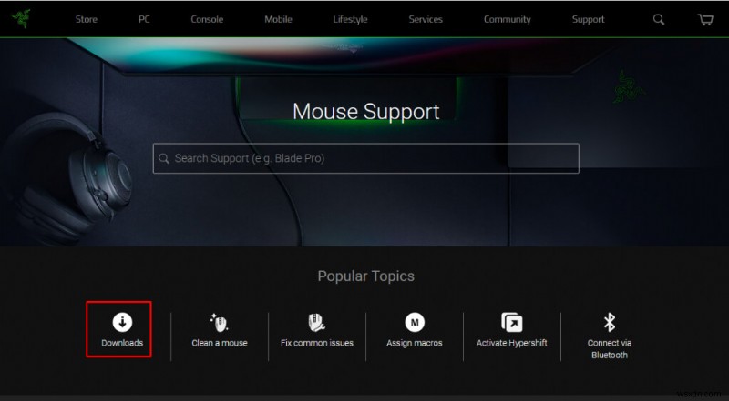 Thiết bị ngoại vi Razer không được phát hiện trong Synapse? 6 cách khắc phục nhanh 