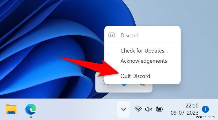 Giải quyết sự cố màn hình xám Discord:11 cách khắc phục đã được chứng minh 