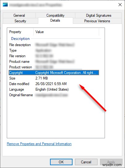 LSAISO.exe giải thích:Tại sao nó làm hỏng PC của bạn và cách khắc phục 