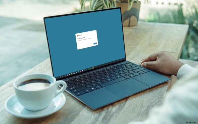 Cách cập nhật Microsoft Office trên Windows &Mac:Hướng dẫn từng bước 