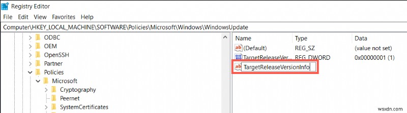 Cách tạm dừng hoặc vô hiệu hóa các bản cập nhật Windows và ngăn chặn các bản nâng cấp không mong muốn 