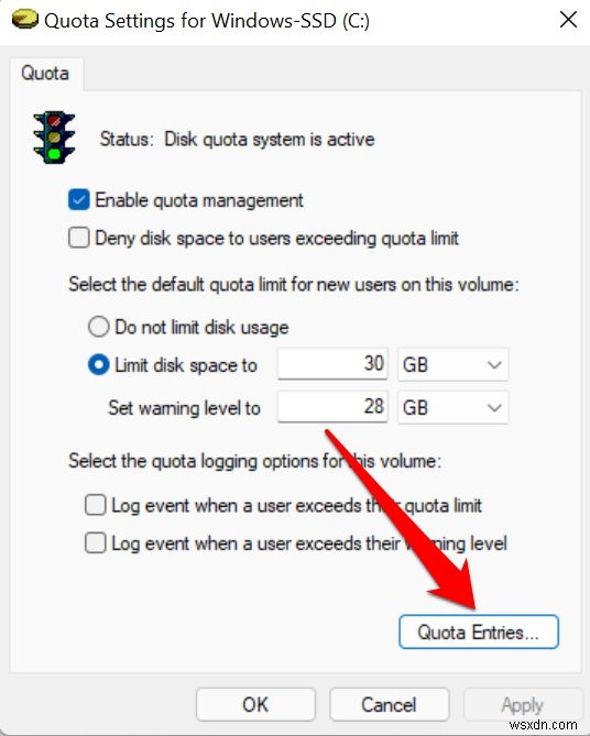 Hạn ngạch đĩa chính trong Windows 11:Hướng dẫn từng bước 
