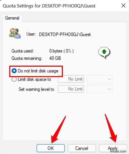 Hạn ngạch đĩa chính trong Windows 11:Hướng dẫn từng bước 