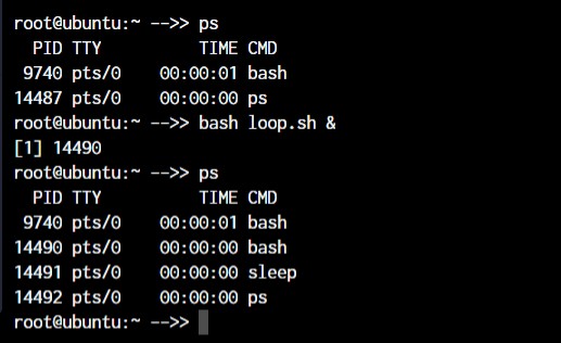 Làm chủ Linux:Hơn 50 lệnh cần thiết để quản lý hệ thống hiệu quả 
