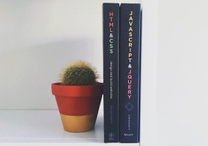 Python vs JavaScript:Giải thích những khác biệt chính cho nhà phát triển 