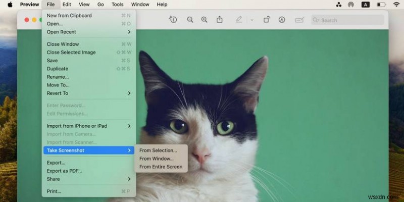 Kỹ thuật chụp ảnh màn hình Master Mac:Hướng dẫn toàn diện để chụp màn hình của bạn 