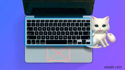 Raycast:Ứng dụng Mac thiết yếu để tăng năng suất 