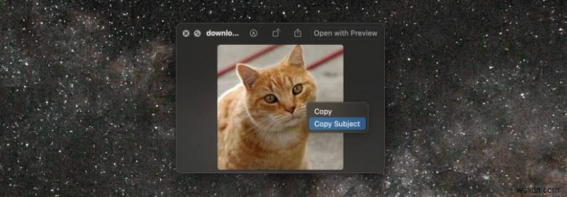 Xóa nền dễ dàng trên macOS:Hướng dẫn nhanh cho người dùng Mac 