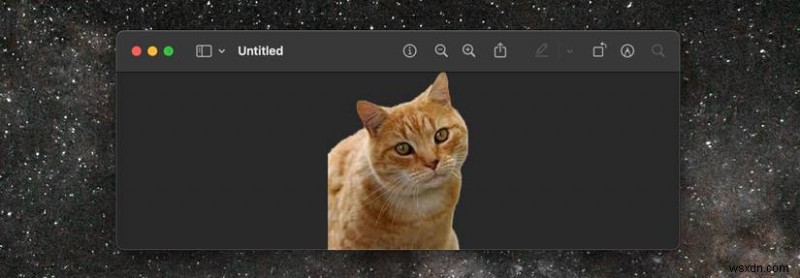 Xóa nền dễ dàng trên macOS:Hướng dẫn nhanh cho người dùng Mac 