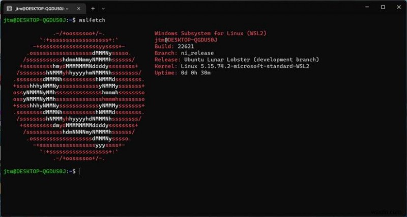 Chạy Ubuntu Daily Builds trên Windows bằng Ubuntu Preview cho WSL 