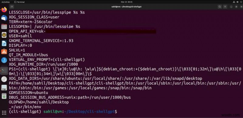 Chạy ChatGPT trong Ubuntu Terminal với ShellGPT:Hướng dẫn thiết lập nhanh 
