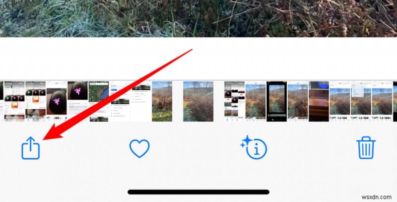 Hướng dẫn nhanh chóng, đáng tin cậy:Chuyển ảnh iPhone sang Windows 11 trong vài phút 