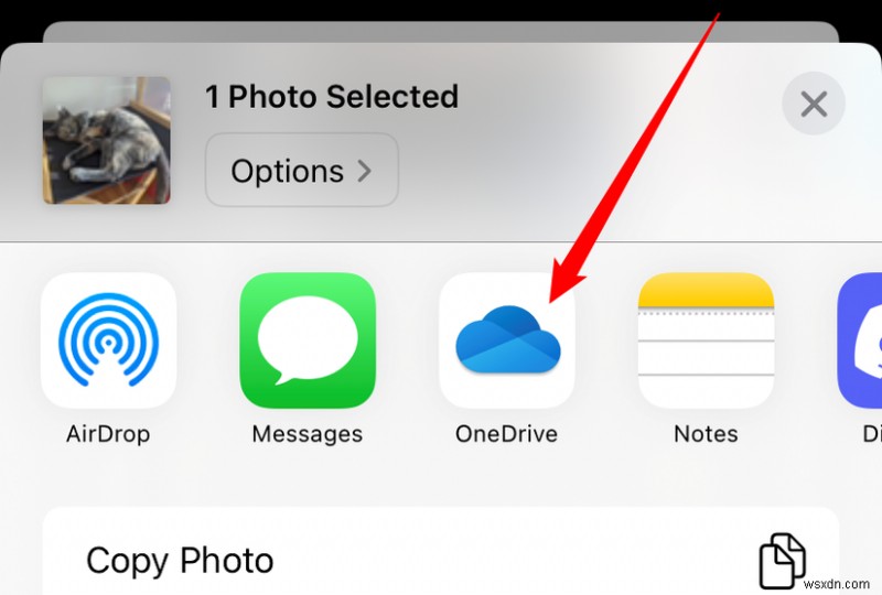 Hướng dẫn nhanh chóng, đáng tin cậy:Chuyển ảnh iPhone sang Windows 11 trong vài phút 