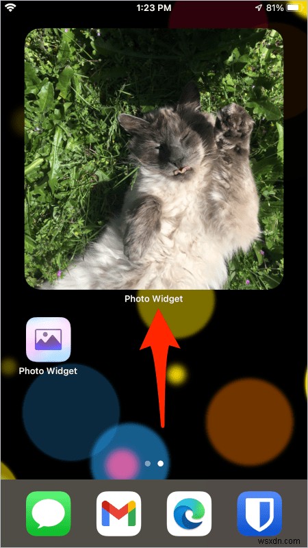 Tùy chỉnh tiện ích ảnh trên iOS:Chọn hình ảnh yêu thích của bạn cho màn hình chính