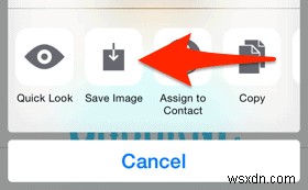 Hướng dẫn từng bước:Cách chuyển và đặt bất kỳ hình ảnh nào làm hình nền iPhone của bạn 