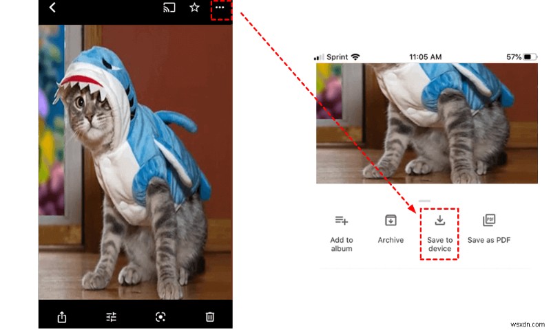 Cách chuyển Google Photos sang Camera Roll trên iPhone của bạn vào năm 2024 
