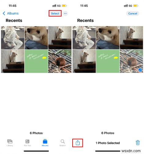 Hướng dẫn nhanh:Sao chép ảnh trên iPhone và iPad mà không làm mất bản gốc 