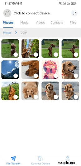 Giải quyết sự cố kết nối truyền tệp của Android trên macOS 