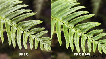 Hướng dẫn 2026:Master ProRAW trên iPhone 15/14/13 Pro &Max 