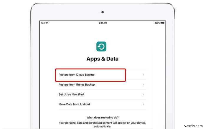 Từng bước:4 phương pháp đã được chứng minh để sao chép liền mạch iPad của bạn 