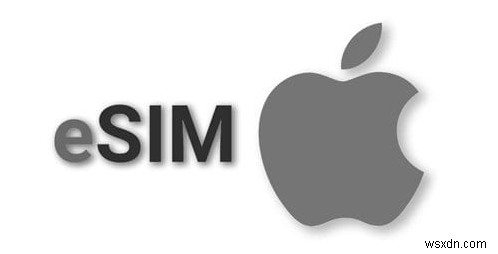 Giải quyết sự cố chuyển eSIM trên iPhone mới của bạn 15/16 