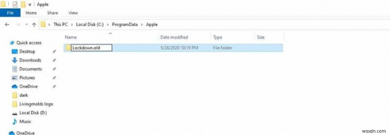 Sửa lỗi iTunes 0xE80000A trên Windows 11, 10, 8, 7:6 Giải pháp đơn giản