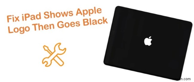4 cách khắc phục đã được chứng minh khi iPad của bạn đứng ở Logo Apple và chuyển sang màu đen 
