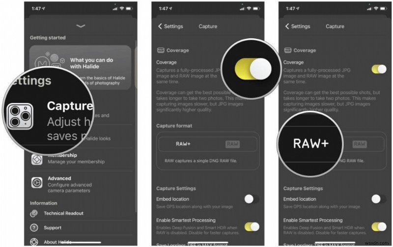 Làm chủ tính năng chụp ảnh RAW trên iPhone 11‑14:Hướng dẫn đầy đủ 