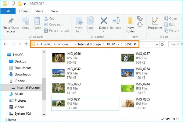 Cách truy cập ảnh iPhone trên PC:4 phương pháp đơn giản 