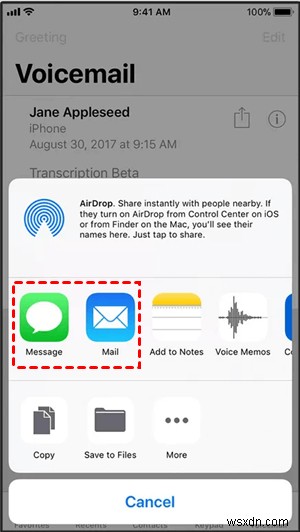 Cách lưu trữ thư thoại iPhone một cách an toàn:4 phương pháp đã được chứng minh 