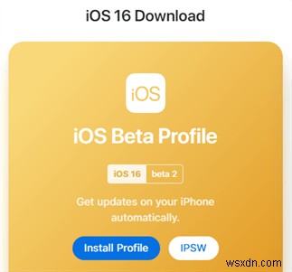 iOS 16/17/18 Beta không xuất hiện trên iPhone của bạn? Sửa nhanh &khắc phục sự cố 