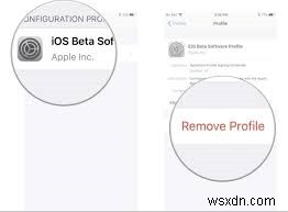 Hướng dẫn từng bước:Hạ cấp từ iPadOS 18 Beta xuống iPadOS 17