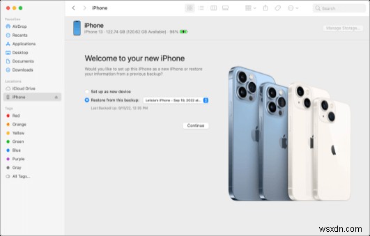 Từng bước:Khôi phục bản sao lưu iPhone của bạn từ iCloud hoặc iTunes sang thiết bị mới 