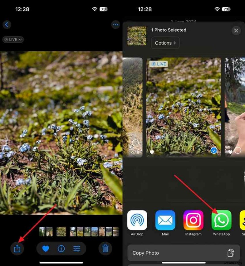 Những cách dễ dàng và an toàn để chuyển ảnh giữa các iPhone 