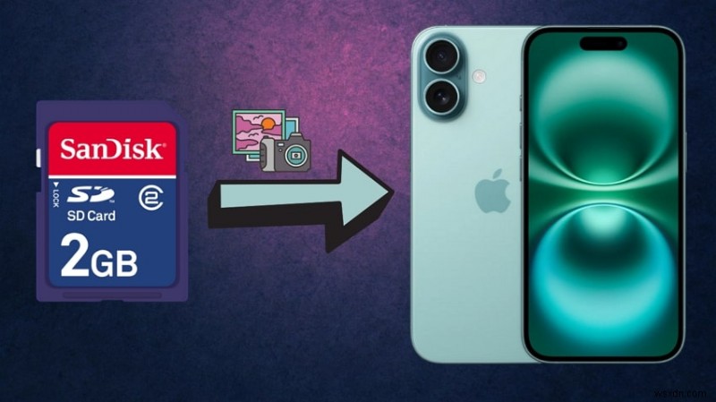Chuyển liền mạch ảnh thẻ SD sang iPhone của bạn – 4 phương pháp đã được chứng minh 