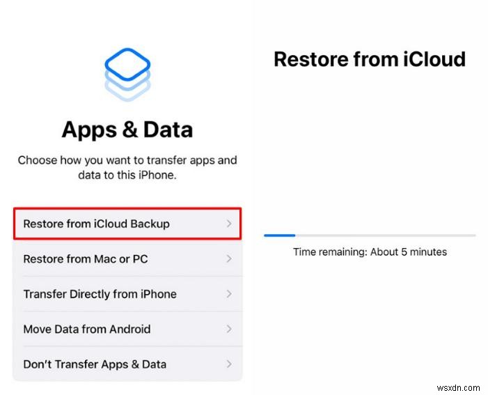 Khôi phục ứng dụng iOS đã mua từ iCloud:Hướng dẫn từng bước 