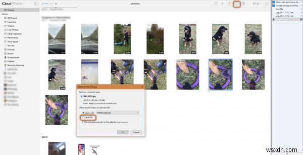 Master HEIC on Windows:2 Easy Transfer Methods 