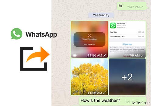 Chuyển ảnh và video WhatsApp bằng Syncios - Nhanh chóng, an toàn và dễ dàng 