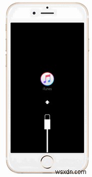 Cách mở khóa iPhone của bạn mà không cần mật khẩu – Các bước an toàn và đơn giản