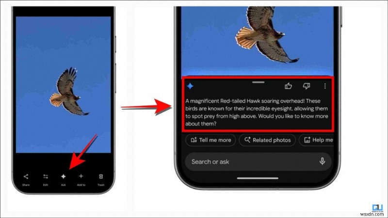 Google Photos tiết lộ 6 tính năng AI:Một tính năng kém, một tính năng vượt trội—Đánh giá đầy đủ 