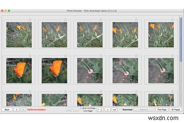 Chuyển ảnh Flickr của bạn một cách an toàn sau những lo ngại về vụ hack gần đây 