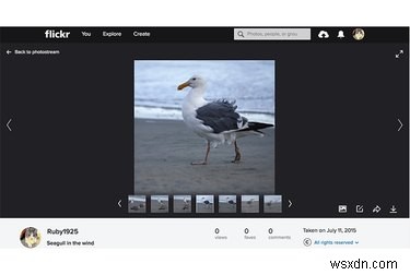 Tại sao Flickr vẫn là nền tảng ảnh Go‑To sau vụ hack năm 2016 của Yahoo 