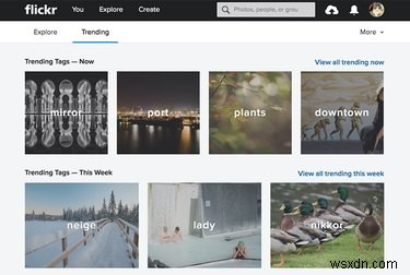 Tại sao Flickr vẫn là nền tảng ảnh Go‑To sau vụ hack năm 2016 của Yahoo 