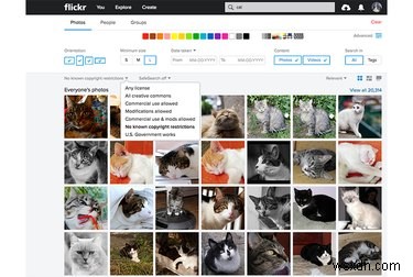 Tại sao Flickr vẫn là nền tảng ảnh Go‑To sau vụ hack năm 2016 của Yahoo 