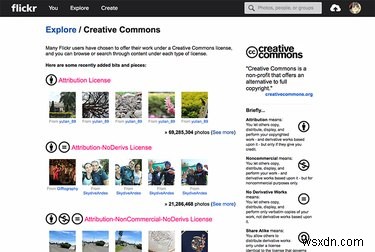 Tại sao Flickr vẫn là nền tảng ảnh Go‑To sau vụ hack năm 2016 của Yahoo 