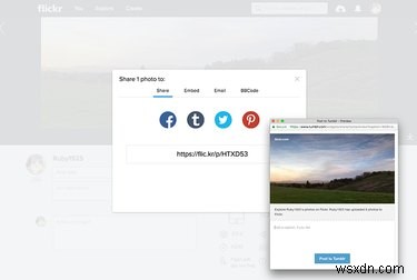 Tại sao Flickr vẫn là nền tảng ảnh Go‑To sau vụ hack năm 2016 của Yahoo 